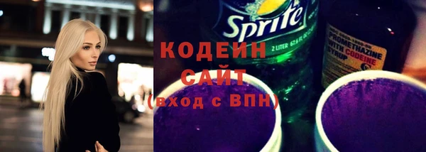 гидра Елабуга
