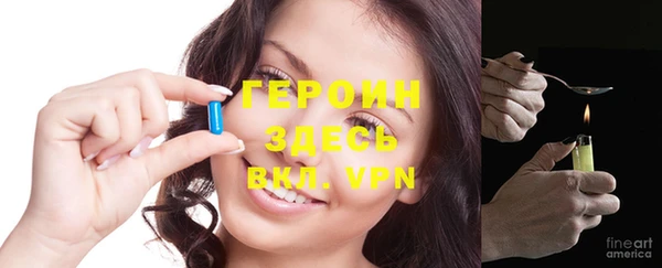 гидра Елабуга