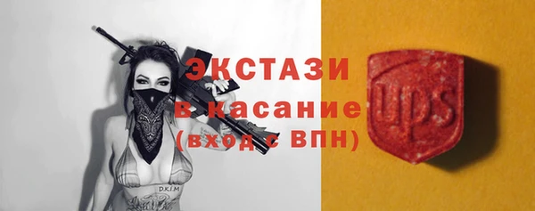 гидра Елабуга