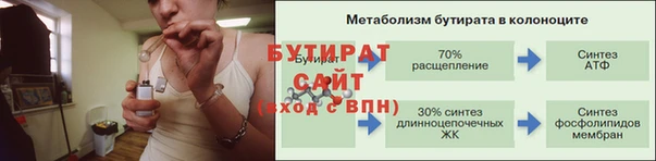 гидра Елабуга