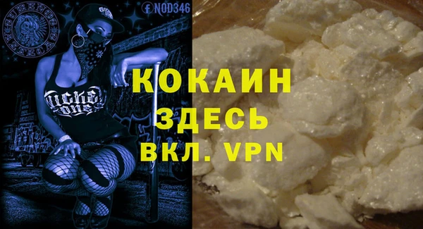 гидра Елабуга