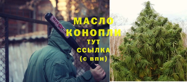 гидра Елабуга