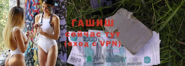 гидра Елабуга